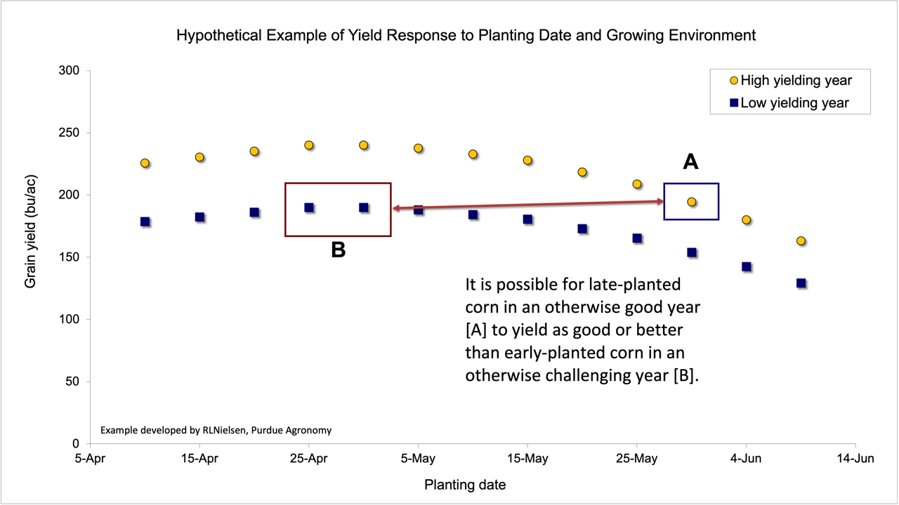 Absolute vs relative planting date effect on yield